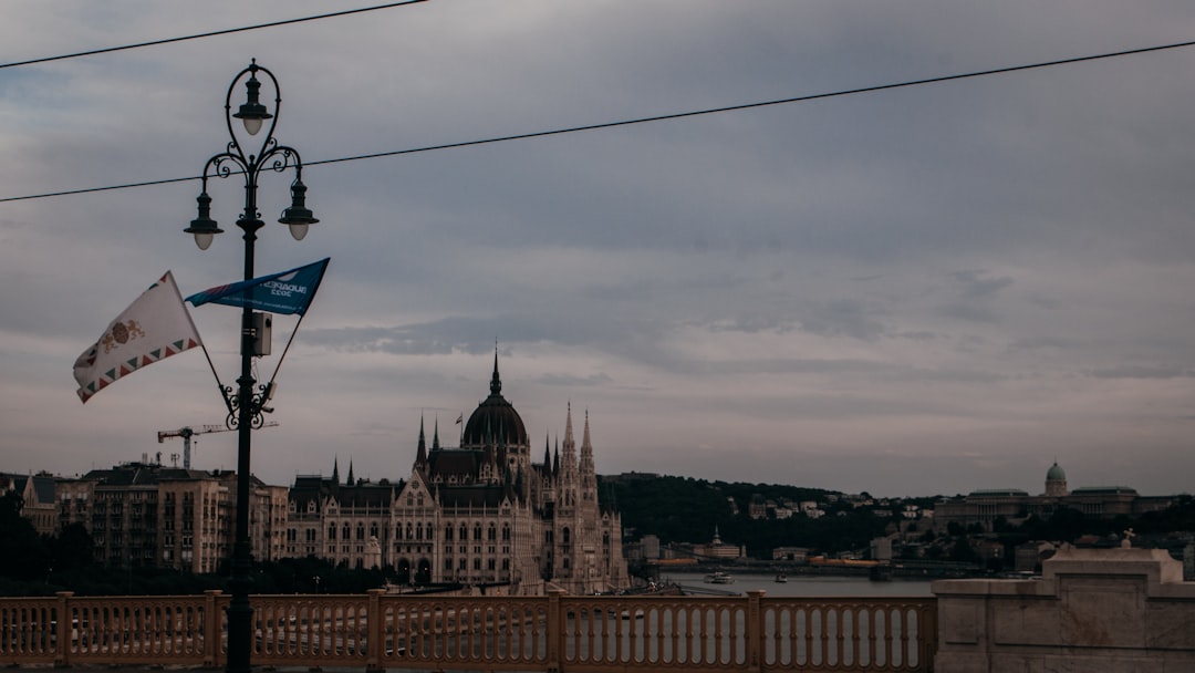 a flag on a pole